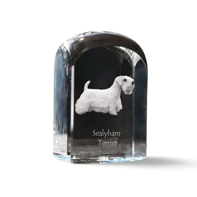 Zdjęcie produktu dla Art-Dog Przycisk do papieru – Sealyham Terrier