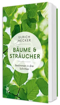 Produktbild von Bäume und Sträucher