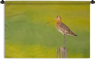 Produktbild von MuchoWow® Wandteppich Wandbehang Vogel - Tiere - Uferschnepfe - Pfahl - Grün 60x40 cm Tapisserie Dekoration Wandtuch - Wanddekorationen