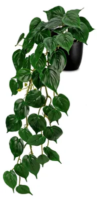 Produktbild von Künstliche Hängepflanze 85 cm Efeupflanze im Topf für Wohnraum, Büro und Tischdekoration