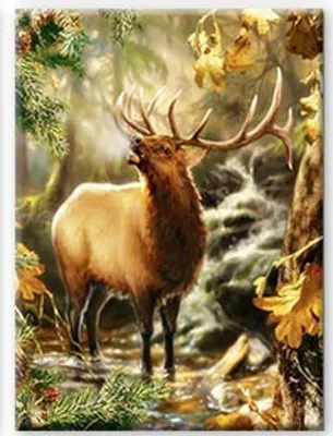 Produktbild von 40x30 cm Diamanten Malerei Zum Selbermachen DIY Diamond Painting Rotwild