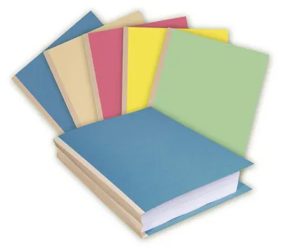 Immagine prodotto di EXACOMPTA Sammelmappe, aus Karton, 320 g/qm, farbig sortiert