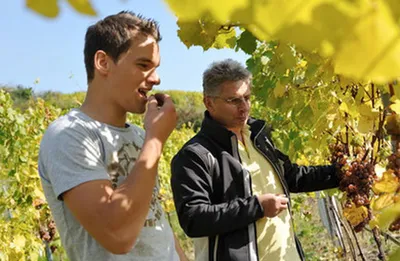 Produktbild von Proidl Riesling Generation X Kremstal Senftenberg - 2018