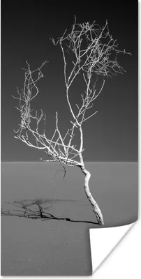 Produktbild von MuchoWow® Poster Kunst der Natur 60x120 cm - Wandschmuck