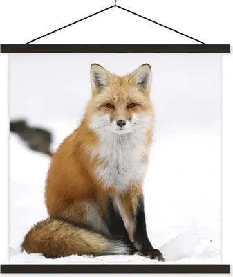 Produktbild von MuchoWow® Textilposter Fuchs - Schnee - Winter 90x90 cm mit schwarzem Rahmen - Magnetisches