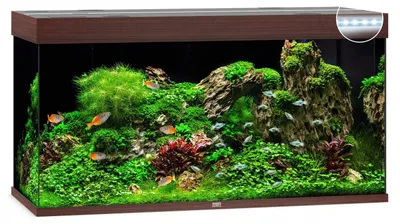 Productafbeelding van Juwel Rio 350 LED | 350L | 121 x 51 x 66CM Donkerhout