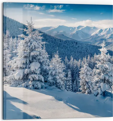 Produktbild von DEQORI Küchenrückwand Glas 60x60 cm 'Karpatenwinter' Spritzschutz Bad Rückwand Küche