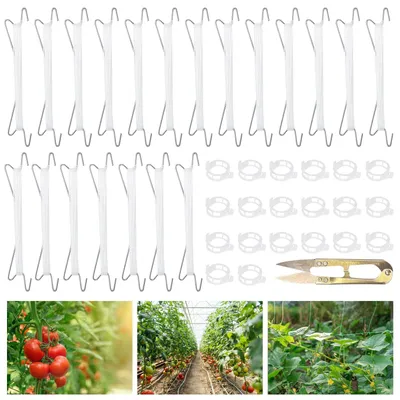 Image de 20 supports pour tomates - Accessoires pour plantes grimpantes