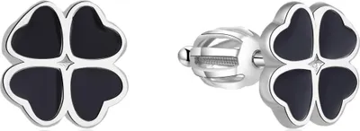 Produktbild von Silver earrings AGUP1595S