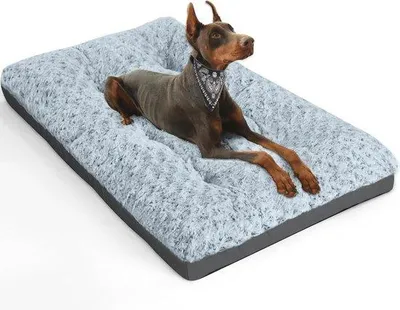Produktbild von Famanu Hundebett Groß | Waschbare Hundematte | Wasserfest und Rutschfest | Atmungsaktives Haustierbett 61 x 43 cm