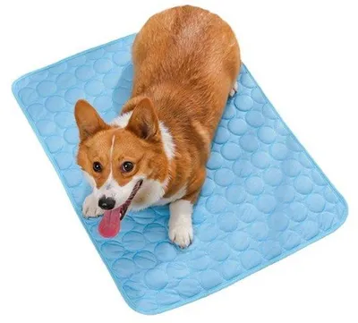 Zdjęcie produktu dla Mata chłodząca dla psów, zagęszczona, zapewniająca długotrwałe chłodzenie (150 x 100 cm) – niebieska