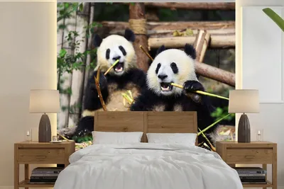 Produktbild von MuchoWow® Fototapete für Wohnzimmer oder Schlafzimmer Wandtapete Vinyl Motivtapete Panda - Wilde Tiere - Bambus - 240x240 cm - Schlafzimmer-Tapete