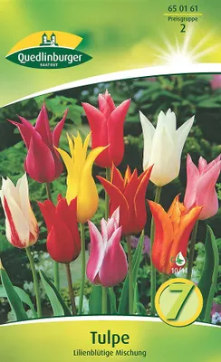 Artikelbild 2 von 'Tulpe Lilienblütige Mischung (7 Stück)' aus der Kategorie Tulpenzwiebeln