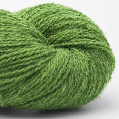 Produktbild von BC Garn  Shetland Wolle 50g 280m Fingering Grün
