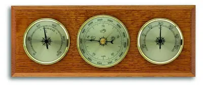 Zdjęcie produktu dla Stacja Meteorologiczna Klasyk