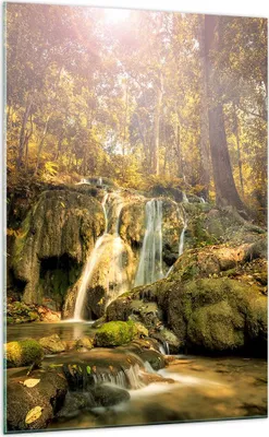 Produktbild von Bilder auf glas - Einteilig - Wald Wasserfall Natur Umwelt - 70x100cm - Glasbilder - Wandbilder - Bilder - Wanddekoration aus Glas - Glas Bilder - Wandbild auf Glas - GPA70x100-2959
