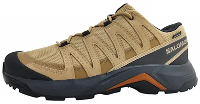 Produktbild von Salomon Running Shoes L47813100 in Beige color size 43 1/3