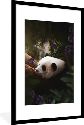 Produktbild von MuchoWow® MuchoWow® Gerahmtes Poster Panda - Dschungel - Schmetterling - Lila 60x90 cm - Poster mit zchwarzem Bilderrahmen - Dekoration - Wandposter Wohnzimmer - Hochwertig