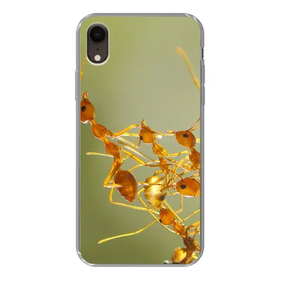 Produktbild von MuchoWow® Handyhülle Schutzhülle Hülle für iPhone XR Ameisen - Orange - Tiere Silikon Softcase Handy Hülle - Schutzdeckel