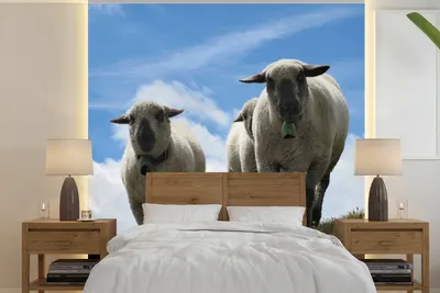 Produktbild von Fotobehang Alpenlandschaft Schapen 220 cm x 220 cm