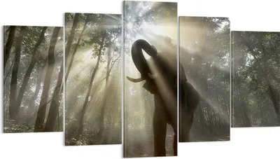 Produktbild von Bild auf Leinwand - Leinwandbild - Elefant Dschungel  - 160x85cm - Wand Bild - Wanddeko - Leinwanddruck - Bilder - Kunstdruck - Wanddekoration - Leinwand bilder - Wandkunst - EA160x85-3835