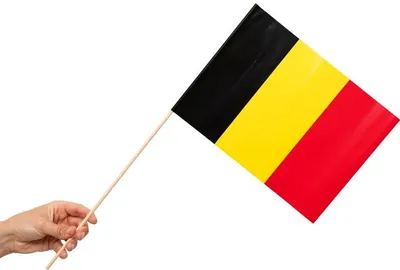 Produktbild von Belgien 10 Papier Flaggen Fähnchen mit Holzstab 50cm
