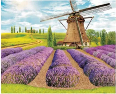 Immagine prodotto di Vikpap W3863 - Quadro numerico, tela 40 × 30 cm - Provenza