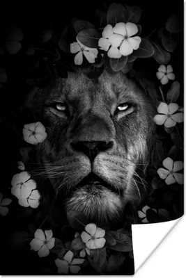 Produktbild von MuchoWow® Poster Löwe mit Blumen im Dschungel - schwarz und weiß 80x120 cm - Papierdruck