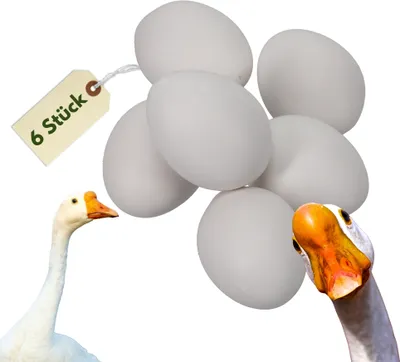 Produktbild von 6x Legeeier Kunsteier Nesteier Gipseier Bruteier Fasanen Gänse Enten Künstliche Eier Gänseeier Weiß
