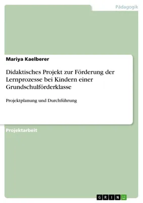 Produktbild von Didaktisches Projekt zur Förderung der Lernprozesse bei Kindern einer Grundschulförderklasse