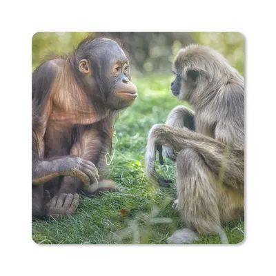 Produktbild von MuchoWow® Mauspad Mousepad Affen - Tiere - Familie 30x30 cm - Mousepads - Maus Mat - Pad - Mausunterlage - Gaming
