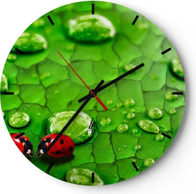 Produktbild von Wanduhr - Rund - Glasuhr - Marienkäfer Gras Blatt Tropfen - 40x40cm - Schleichendes Uhrwerk - Lautlos - zum Aufhängen bereit - Dekoration Modern - Wanddekoration aus Glas - C3AR40x40-2363