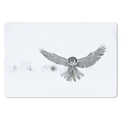 Produktbild von MuchoWow® Mauspad Mousepad Sperbereule 27x18 cm - Mousepads - Maus Mat - Pad - Mausunterlage - Büroartikel - Desk Matten