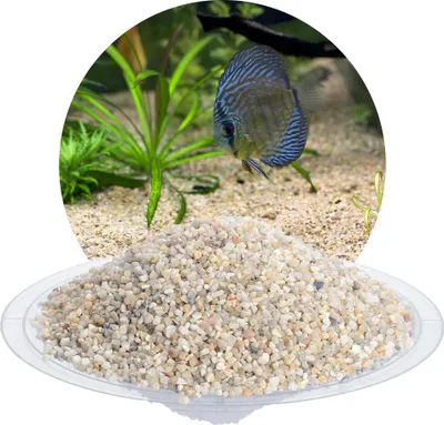 Produktbild von Schicker Mineral-Aquariumkies beige 25 kg-2,0-3,15mm