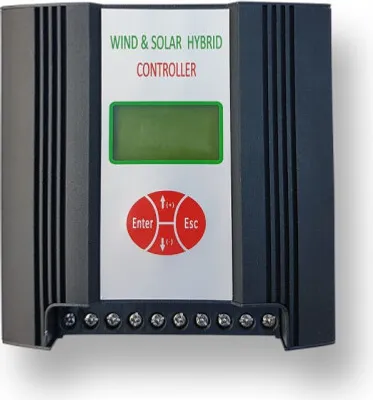 Zdjęcie produktu dla Regulator hybrydowy 600W/300 24V