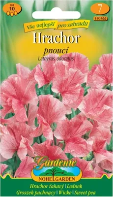 Immagine prodotto di Pisello profumato, rosa