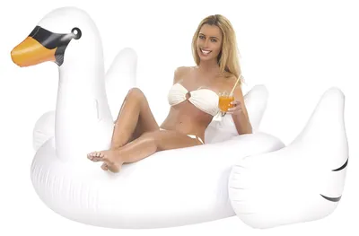 Image de Bouée cygne gonflable XXL