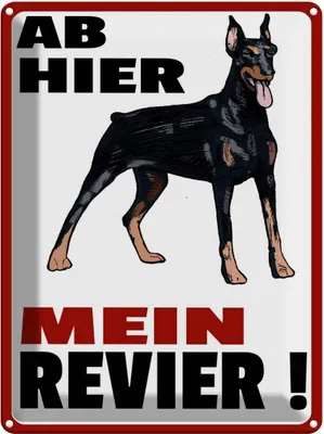 Produktbild von vianmo Blechschild 40x30 cm ab hier mein Revier Hund Spruch Zitat