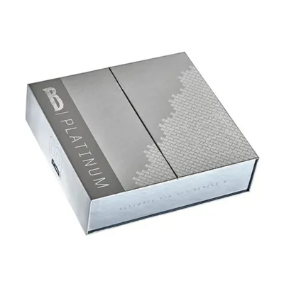 Produktbild von Blizzard Series 8 Sammler Pin Set Platin – Limitierte 10er Anstecker Edition mit COA, Präsentationsbox, exklusivem Design & offiziellen Charakteren
