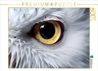 Produktbild von CALVENDO Puzzle Ein Motiv aus dem Kalender "Schau mir ins Auge" | 1000 Teile Lege-Größe 64x48cm Foto-Puzzle für glückliche Stunden