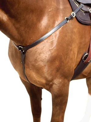 Produktbild von Weaver Western Vorderzeug Straight schwarz in Dunkelbrau