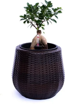 Produktbild von Elegant Einrichten | Pflanzkübel | Polyrattan | rund konisch | D35xH32cm | coffee braun
