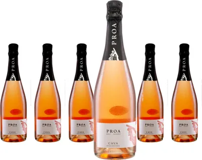 Produktbild von 6 x Vallformosa Cava Proa Brut Rosado