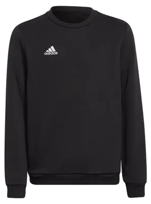 Produktbild von adidas Entrada 22 Sweatshirt black 164