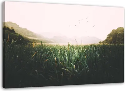 Obrázok produktu pre Obraz na plátne vtáky na mokradi 120x80 cm Feeby zelená maľba na stenu pripravené na zavesenie