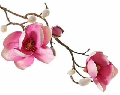 Produktbild von Magnolie künstliche Blume Seide gefälschte Blume Driesprong Collection