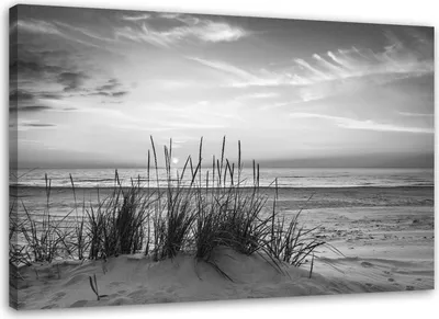Produktbild von Leinwandbild gräser am strand - schwarz-weiß 60x40 cm Feeby grau wandbild bereit zum aufhängen