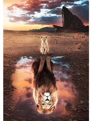 Immagine prodotto di Kit per Diamond Painting, "Il Re Leone", motivo "Riflesso", dimensioni 30x40 cm