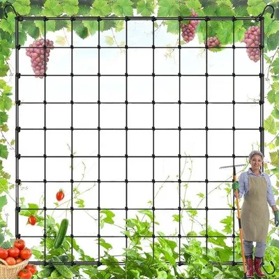 Image de Filet élastique pour plantes 90 x 90 cm, vert, 1 pièce