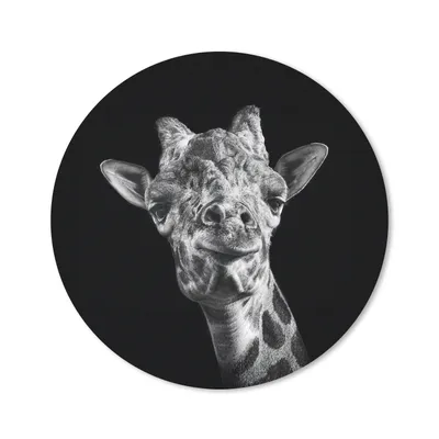 Produktbild von MuchoWow® Mauspad Mousepad Giraffe - Tier - Schwarz - Weiß 40x40 cm - Mousepads - Maus Mat - Pad - Mausunterlage - Schreibtisch Accessoires